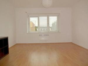 Pronájem bytu 1+1, Brno, Palackého třída, 55 m2