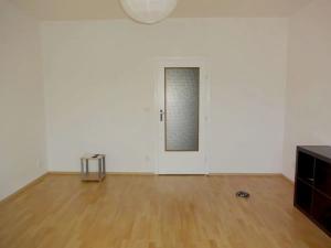 Pronájem bytu 1+1, Brno, Palackého třída, 55 m2