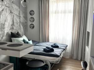 Pronájem bytu 1+kk, Písek - Pražské Předměstí, Vladislavova, 20 m2