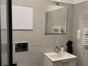 Pronájem bytu 1+kk, Písek - Pražské Předměstí, Vladislavova, 20 m2