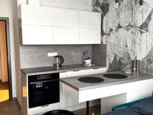 Pronájem bytu 1+kk, Písek - Pražské Předměstí, Vladislavova, 20 m2