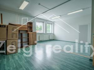 Pronájem kanceláře, Brno, 460 m2