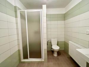Pronájem bytu 2+kk, Stříbro, Smetanova, 54 m2