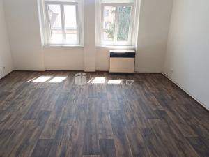 Pronájem bytu 1+1, Děčín - Děčín VI-Letná, Fibichova, 44 m2