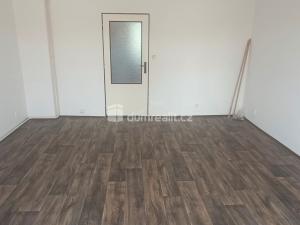 Pronájem bytu 1+1, Děčín - Děčín VI-Letná, Fibichova, 44 m2