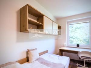 Pronájem bytu 1+kk, Brno, Plevova, 21 m2