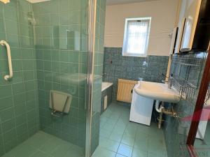 Prodej rodinného domu, Sušice - Sušice II, Na Štěbetce, 219 m2