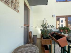 Pronájem bytu 3+kk, České Budějovice, Riegrova, 81 m2