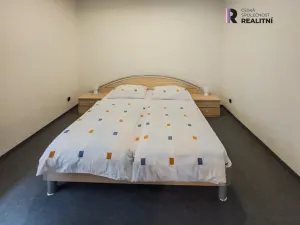 Prodej rodinného domu, Kraslice, Havlíčkova, 480 m2