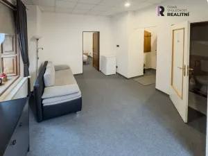 Prodej rodinného domu, Kraslice, Havlíčkova, 480 m2