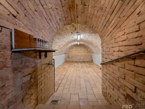 Prodej vinného sklepa, Velké Bílovice, 82 m2