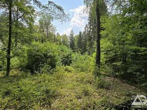 Prodej pozemku pro bydlení, Jevany, Ve Smrčinách, 1186 m2