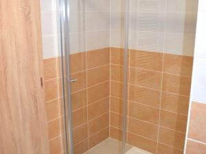Pronájem bytu 1+kk, Olomouc, Wolkerova, 33 m2