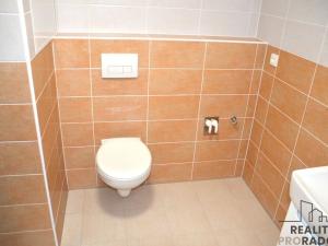 Pronájem bytu 1+kk, Olomouc, Wolkerova, 33 m2