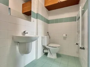 Pronájem bytu 2+1, Opava - Předměstí, Hviezdoslavova, 65 m2