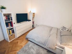Pronájem bytu 1+1, Praha - Žižkov, Fibichova, 35 m2