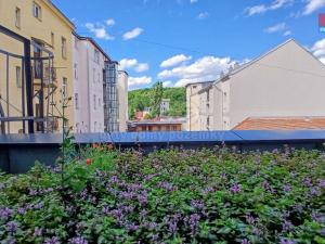 Pronájem bytu 1+kk, Praha, Nad Kolčavkou, 29 m2