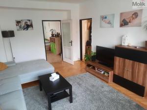 Pronájem bytu 2+1, Teplice, Svojsíkova, 55 m2