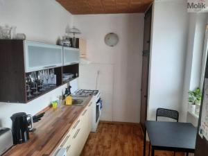 Pronájem bytu 2+1, Teplice, Svojsíkova, 55 m2