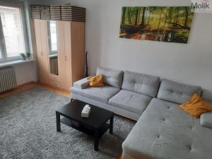 Pronájem bytu 2+1, Teplice, Svojsíkova, 55 m2