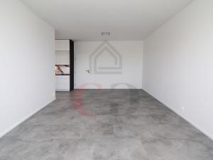 Pronájem bytu 2+kk, Plzeň, Františka Kováříka, 65 m2