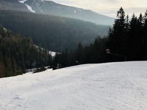 Prodej bytu 3+kk, Nová Pec - Dlouhý Bor, 80 m2