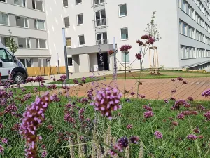 Pronájem bytu 2+kk, Praha - Chodov, Čenětická, 46 m2