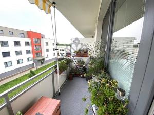 Pronájem bytu 1+kk, Slavkov u Brna, Zelnice II., 29 m2