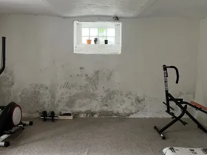 Pronájem rodinného domu, Soběšín, 175 m2