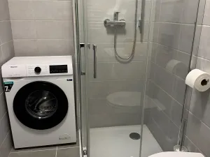 Pronájem bytu 1+kk, Písek, Vladislavova, 20 m2