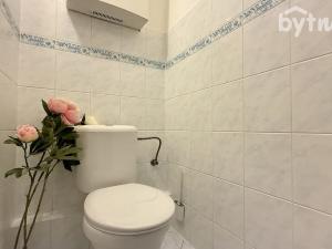 Pronájem bytu 2+kk, Olomouc - Nové Sady, Handkeho, 61 m2