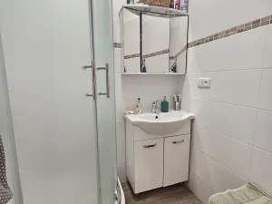 Pronájem bytu 1+kk, Brno, Tábor, 40 m2