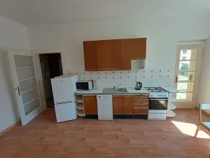 Prodej bytu 1+1, Praha - Nusle, U družstva Ideál, 55 m2