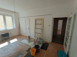 Prodej bytu 1+1, Praha - Nusle, U družstva Ideál, 55 m2