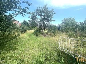 Prodej pozemku pro bydlení, Komořany, 710 m2