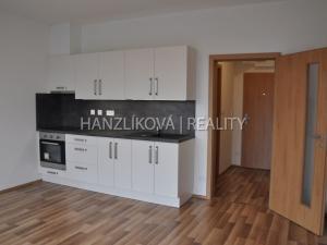 Pronájem bytu 1+kk, České Budějovice - České Budějovice 2, Volejbalistů, 28 m2