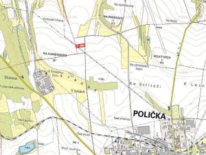Prodej pole, Kamenec u Poličky, 8089 m2