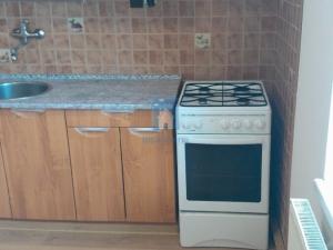 Pronájem bytu 1+1, Žatec, Pražská, 56 m2