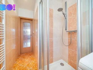 Prodej bytu 3+1, Velké Losiny, U hřiště, 74 m2