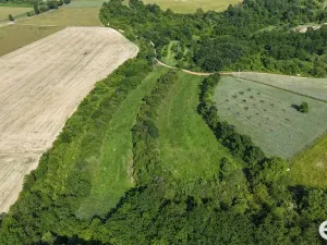 Prodej podílu 1/4 pozemku, Bechlín, 14560 m2