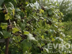 Prodej chaty, Ždírec, č.ev., 84 m2