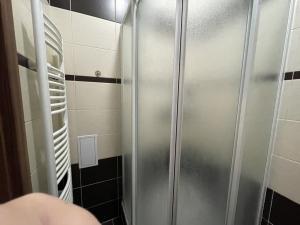 Pronájem bytu 1+1, Ústí nad Labem - Ústí nad Labem-centrum, Thomayerova, 38 m2
