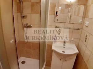 Pronájem bytu 1+kk, České Budějovice - České Budějovice 2, Husova tř., 40 m2