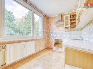 Pronájem bytu 1+1, Plasy, Potoční, 38 m2