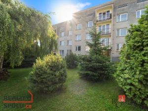 Prodej bytu 3+1, Opočno, Dobrušská, 70 m2