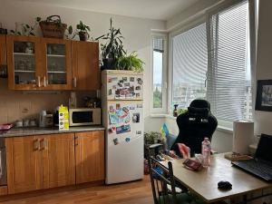 Pronájem bytu 1+kk, Praha - Střížkov, Zakšínská, 42 m2