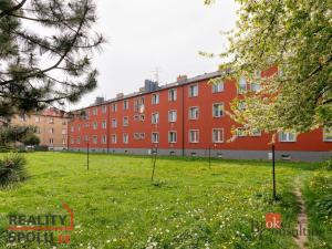 Pronájem bytu 1+1, Opava - Předměstí, Těšínská, 32 m2