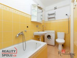 Pronájem bytu 1+1, Opava - Předměstí, Těšínská, 32 m2