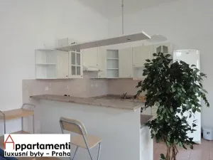 Pronájem bytu 2+kk, Praha - Nové Město, Štěpánská, 71 m2