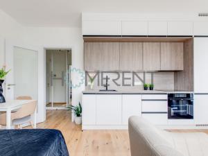 Pronájem bytu 1+kk, Praha - Nusle, Závišova, 30 m2